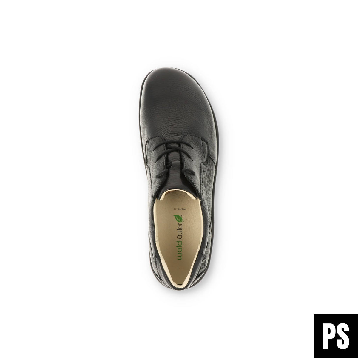SNEAKER HIRSCHLEDER - Hector